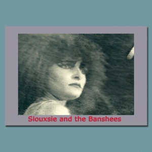 Siouxie and the Banshees I